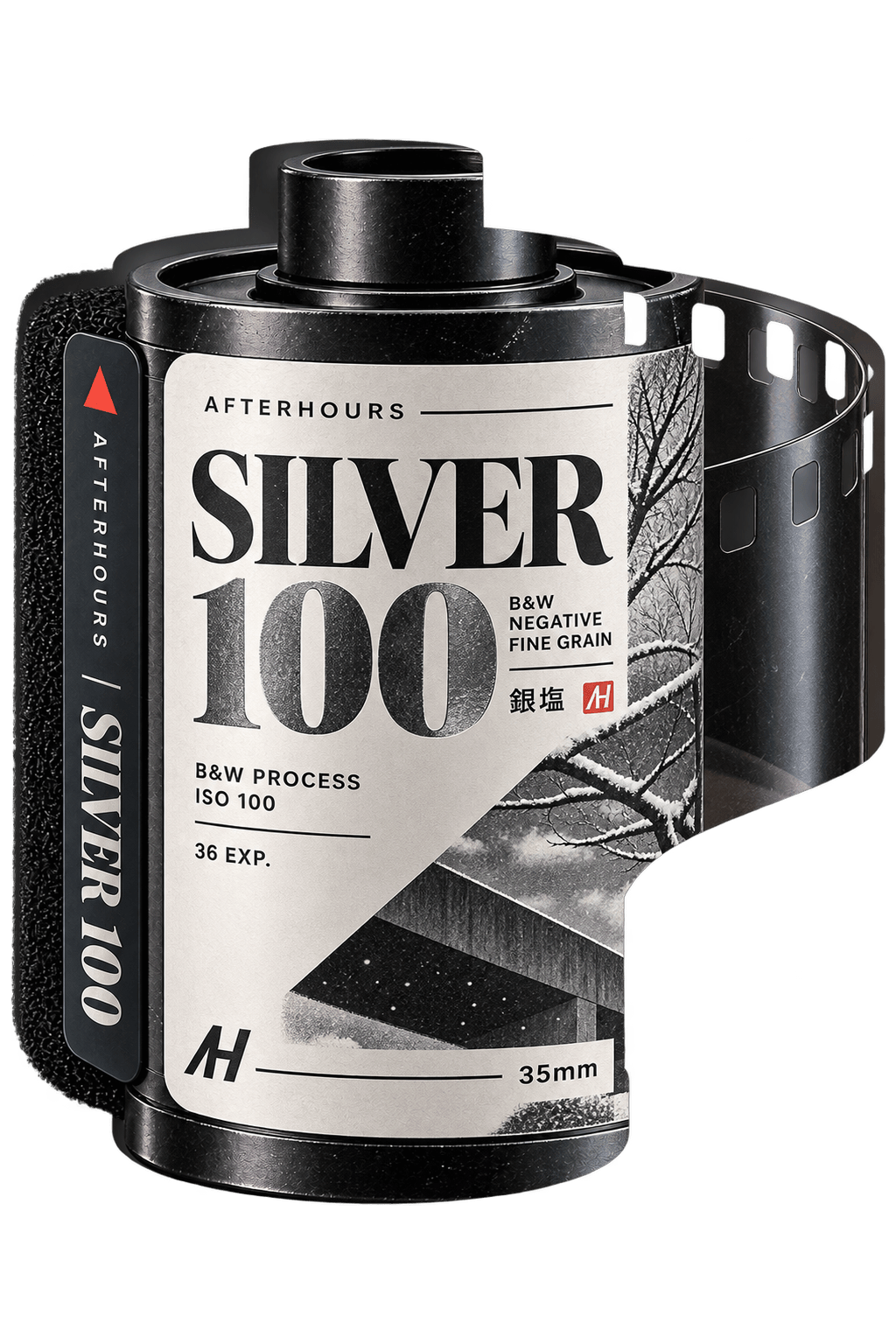 SILVER 100