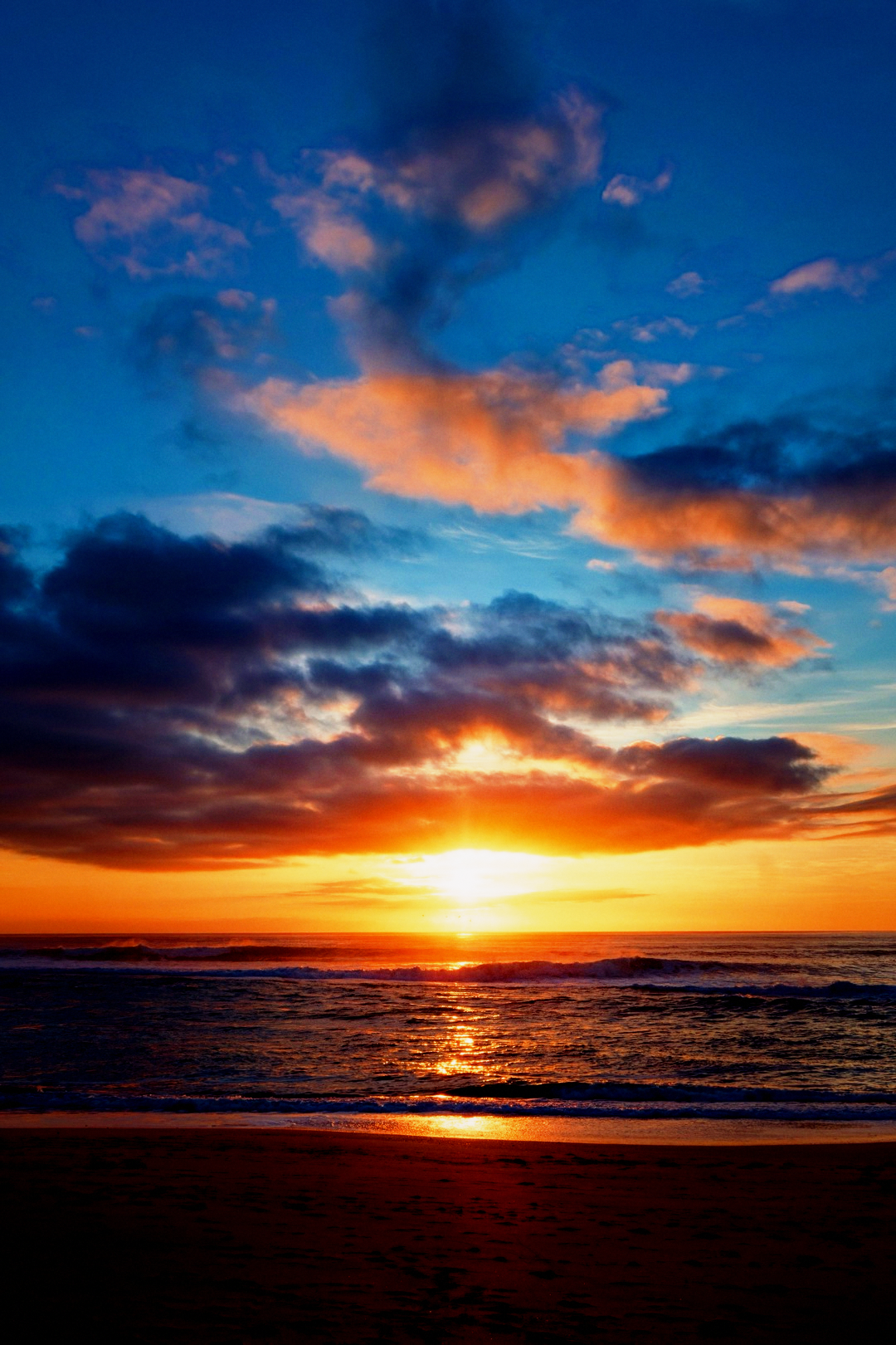 VIVID 50 · Golden